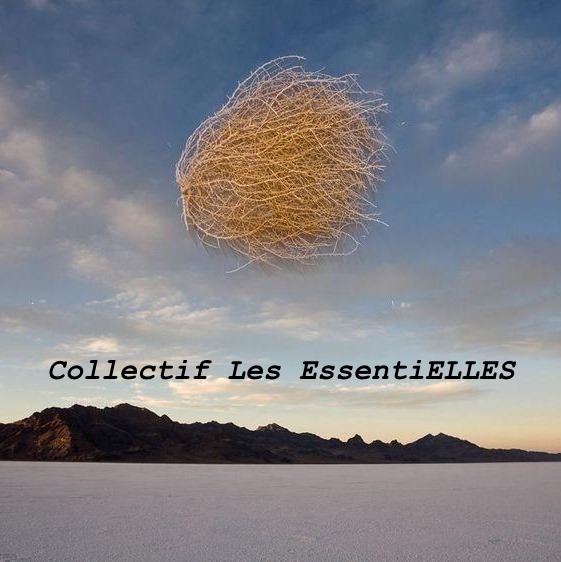 L’attribut alt de cette image est vide, son nom de fichier est logo-collectif-.jpg.